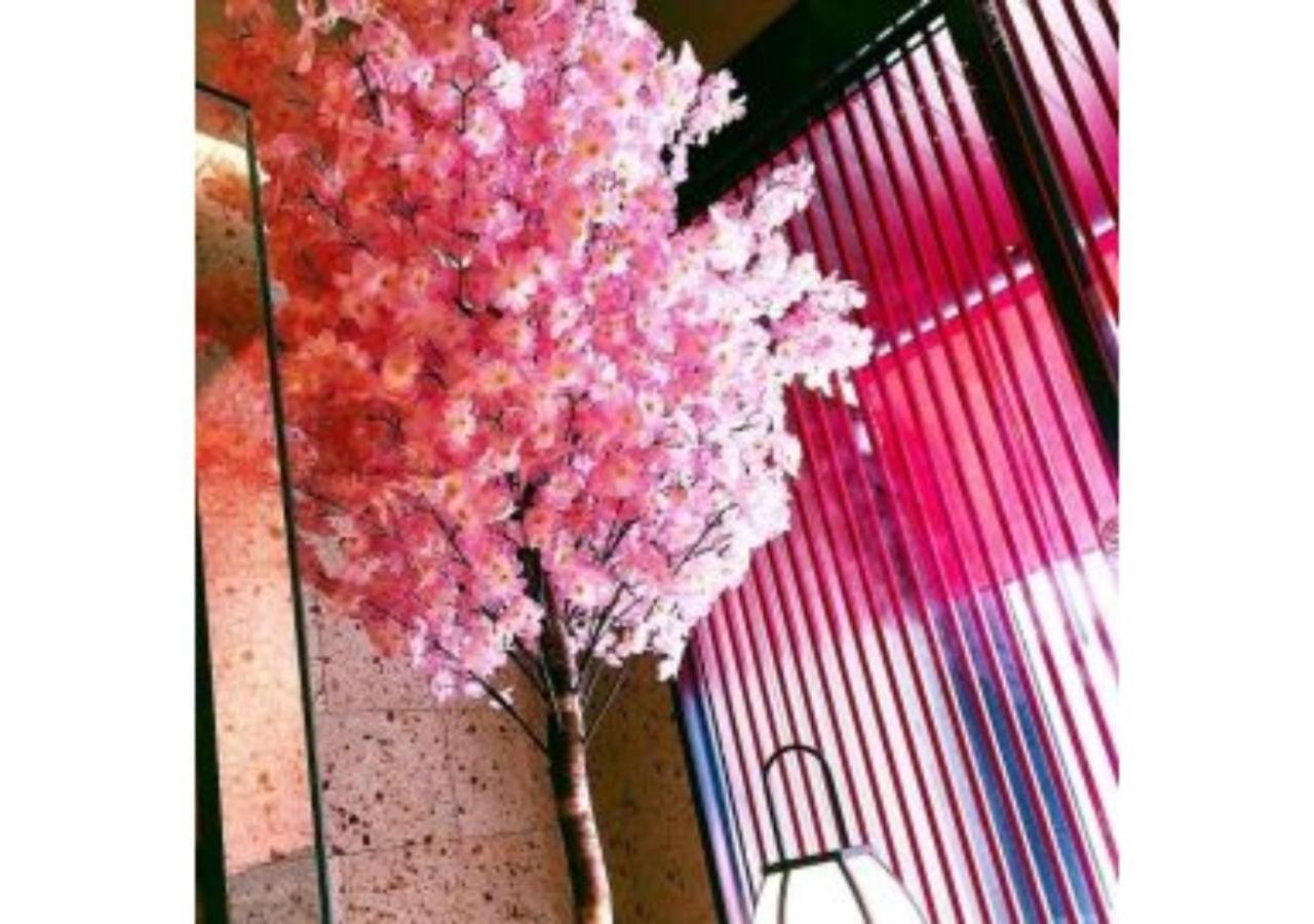Sakura Sky Hotel - Vacation Stay 18444V طوكيو المظهر الخارجي الصورة
